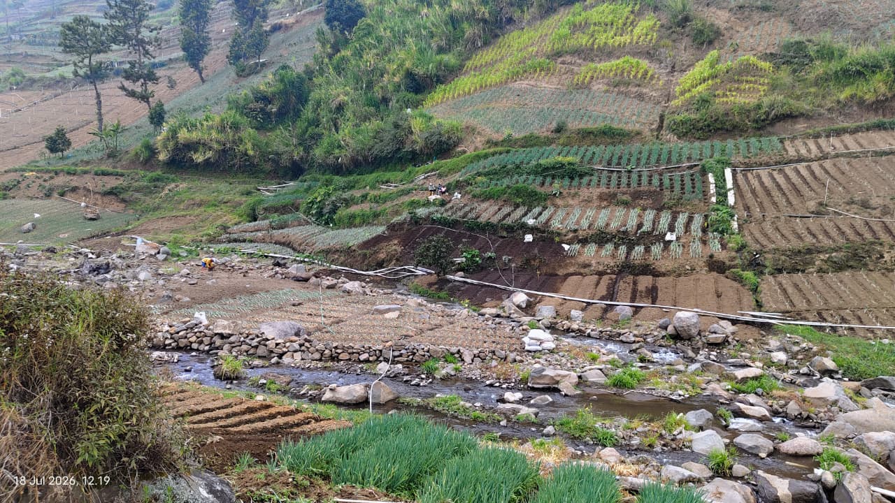 Aktivis Lingkungan Soroti Dugaan Alih Fungsi Hutan Lindung Petak 15, 1.000 Pohon Sumbangan Relawan Diduga Hilang