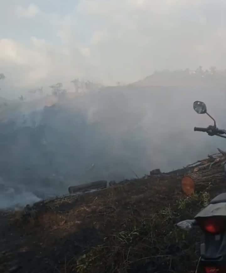 Kebakaran Hutan Pinus di Paguyangan Berhasil Dipadamkan, Lebih Dari Empat Hektare Lahan Terdampak