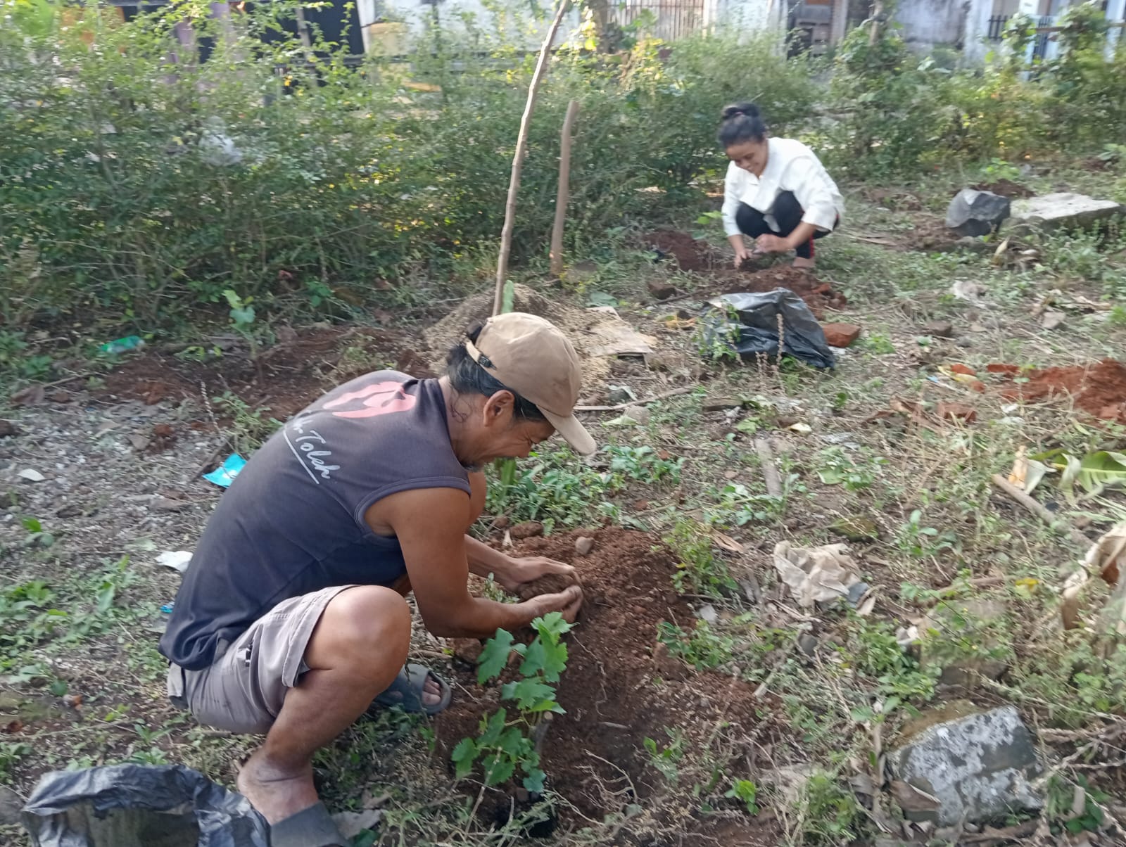 Wujudkan Edukasi Rintis Agro Gumuk  Buah Anggur Organik
