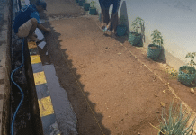 Tanam Harapan Dari Lahan Lapas Warga Binaan Klaten Budidayakan Sayur Kubis, Bekal Kemandirian & Kedisiplinan