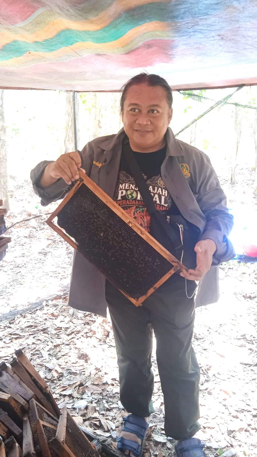 Optimalkan Perawatan Tanaman Hutan Sinergikan Budidaya Lebah Madu 