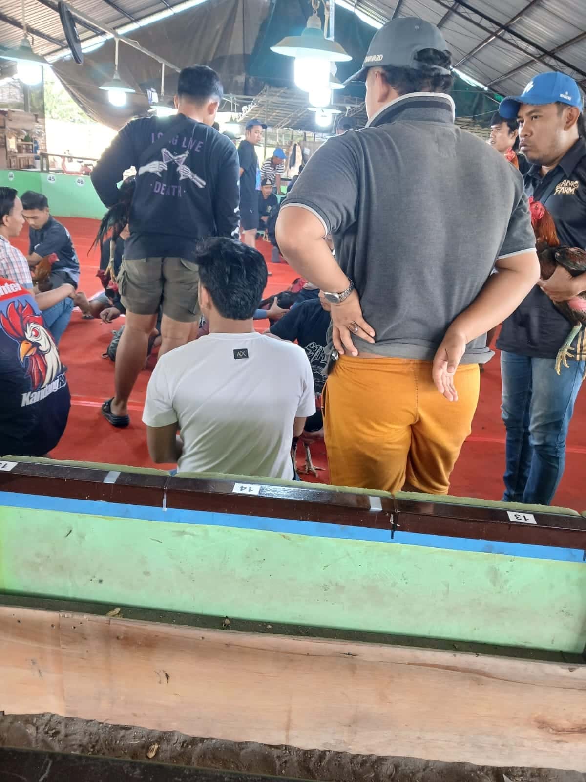 Kapolsek Candi Polresta Sidoarjo Diduga Bekingi Arena Judi Sabung Ayam dan Tjap Jikie Beromzet Ratusan Juta di Desa Klurak, Dilaporkan ke Propam Mabes Polri
